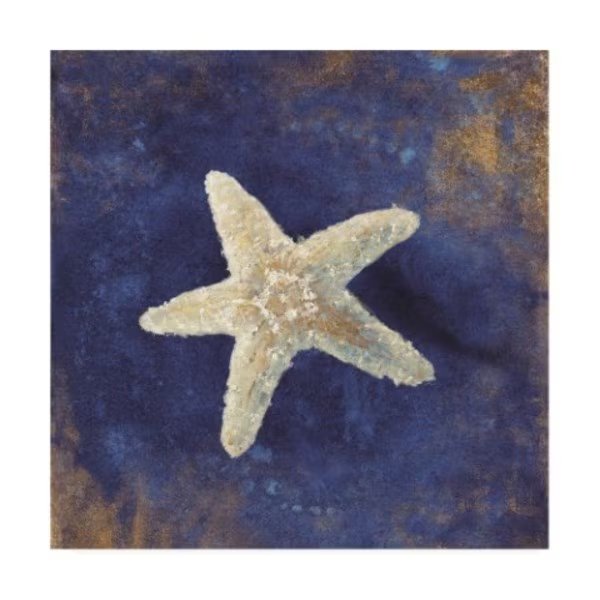 Danhui Nai 'Treasures From The Sea Indigo Iv' Canvas Art, 35x35, Trademark Fine Art, Mfr#: WAP10720-C3535GG